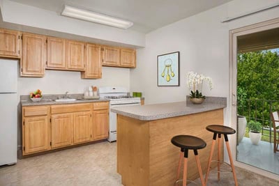 Kitchen at Chestnut Hill Apartments in Temple Hills, MD